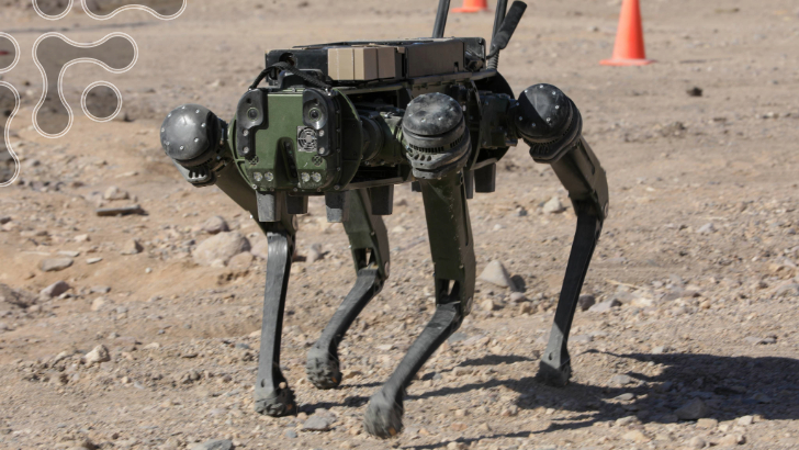 Mechanics and Control of Autonomous Legged Robotic Systems in Mud